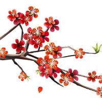 1998年属虎人2022年运势 驿马运强事业更上一层楼