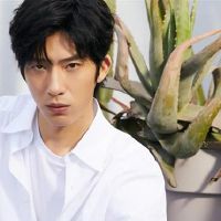 不要指望这个三星级座位,谎言是自然,强大的