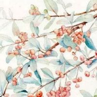 龙抬头过生日好不好 此日生子财路亨通