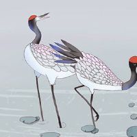 2022年5月28日是什么日子 农历四月二十七是提车黄道吉日吗