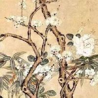 适合开淘宝店铺的名字 有涵养的店铺起名大全