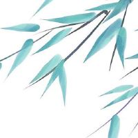 属虎的本命年佩戴什么好 生肖挂件利开运