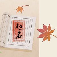 2022年姓氏新生名称大全优雅的名字