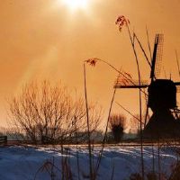 有什么八个词喜欢同性