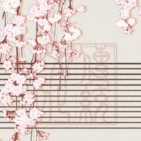 每日财富11月3日,2022年,十二生肖动机和特殊