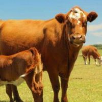 在73R中,与婚姻匹配表的婚姻