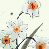 98年虎年本命年运势如何 98年属虎人财运旺