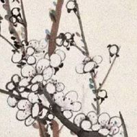 2022年3月8日是第几个妇女节 妇女节的女性福利