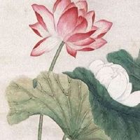 2022农产品公司取名字 高端企业起响亮名称