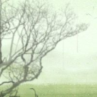 新的坟墓不是机构,春天的机构也是关于新坟墓的知识。