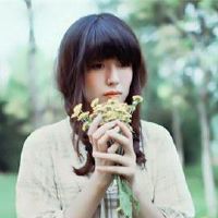 分手后,我总是想到前十二生肖。