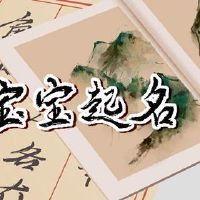 在2022年,迈达的老虎年度祝你好运。