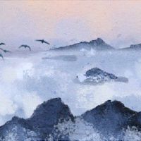 丁火女命富贵八字 命富贵木火通明不能见己晦火