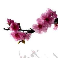 投资管理公司取名2022 企业起名象征寓意好