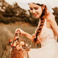 十二颗星女性扰流板