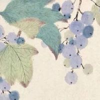 惊蛰三候鹰化为鸠是什么意思 节气养生润肺润喉