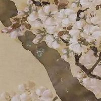 2022年新坟不过社是指哪一天 惊蛰节气有三候