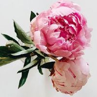 如何让本命年有好运气 本命年避太岁平安顺遂