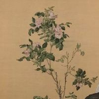 68年属猴女会有婚外情吗 需提防婚外情发生