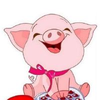 如何表达黄道带猪的情感爱情