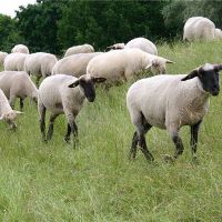 2003年出生的人格