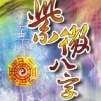 紫微斗数荣上下同宫格