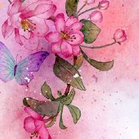 本命年结婚怎么化解 放生化解本命年结婚影响