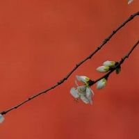 热门公司起名字的五行讲究 旺运招财企业取名