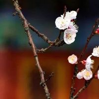 公司取名大全免费取名 企业起旺财公司好名字