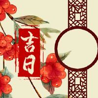 Apricoli,黄岛,吉日,7月2022日