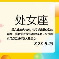 在最佳明星大象处女的前半部分判断