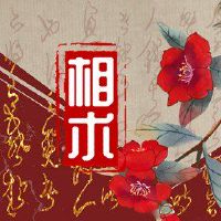 妇女的脸部的大面孔富裕,脾气暴恒和人物很好