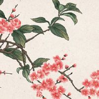 本命年见星星会怎么样 本命年不见星星运势提升