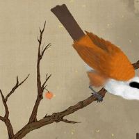 本命年吉利数字吉祥语大全 本命年数字六让属虎人峰回路转