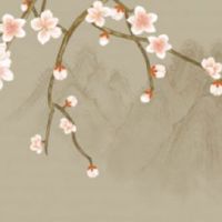 74年属虎女2022年以后运气 事业高峰财源滚滚