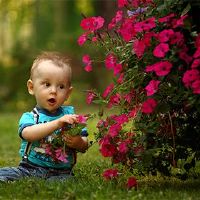 2022年儿童日出生的男性八宝8