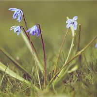 12个星座往往是尴尬的,他们受到质疑是一个大母亲的圈子。