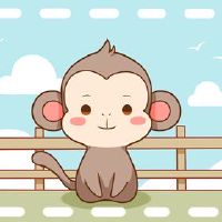 猴子,2月26日,好,男孩,男孩,女孩