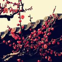 适合百货店铺取名的字 新店取独特大气的名字