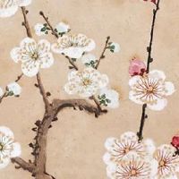 小卖店取什么名字招财 洋气好听的店铺起名