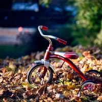 没有主看,一切都需要其他人来指导他们的星座。