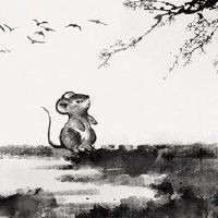 在2022年,有一个良好的婚姻,十二生肖女人,一个女人,一个女人,一个女人