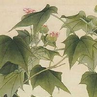 1980年猴未来10财运 生肖猴家庭富裕富贵盈门