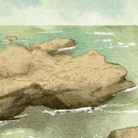 伤害官员,女性的美丽