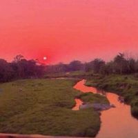 男人的钱包各种颜色