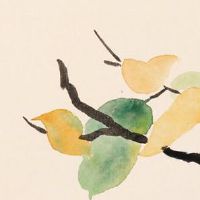 2022年属虎女一生命运 2022属虎女一生顺利