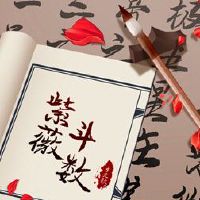 紫色Micropler的优惠券的爱情不爱你丈夫和妻子,诚实的明星