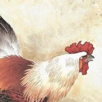 2005年,一名鸡女生命2022财年17岁小鸡女2022月财年详细