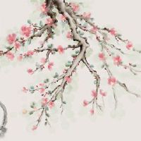 在2023年的一年内穿一年的效果是多少?