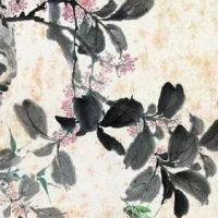 80年猴未来三年运势 一帆风顺富贵成功